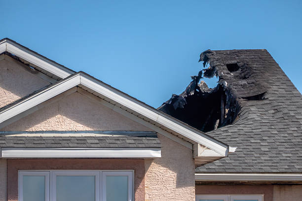 Top rated local Odor Removal specialists in Wycombe, PA